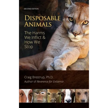 Disposable Animals: The Harms We Inflict & How We Stop