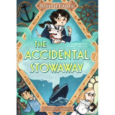 The Accidental Stowaway