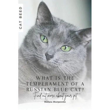 What is the temperament of a Russian Blue cat?: Find out more about your pet