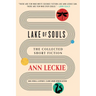 Lake of Souls: The Collected Short Fiction