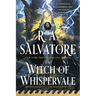 The Witch of Whispervale: The Buccaneers, Book 2