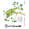 Oliver, A Story About Adoption - Updated (paperback)