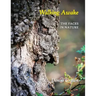 Walking Awake: The Faces in Nature