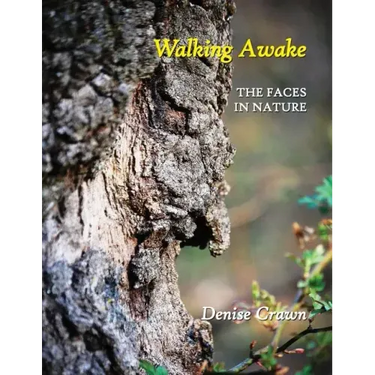 Walking Awake: The Faces in Nature