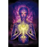 For the Sake of Evolution: The Indigo Child