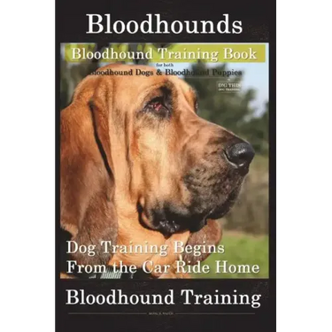 Bloodhounds, Bloodhound Training Book For both Bloodhound Dogs & Bloodhound Puppies By D!G THIS DOG Training: Dog Training Begins From the Car Ride Ho