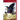 Animal Eye