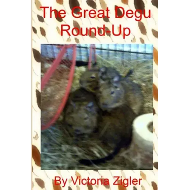 The Great Degu Round-Up