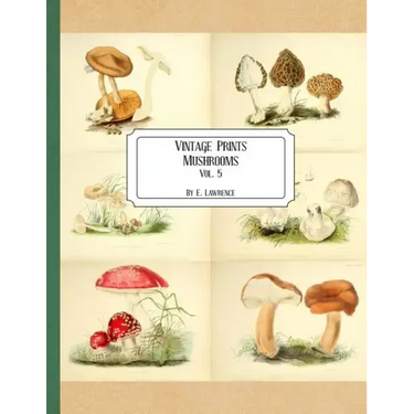 Vintage Prints: Mushrooms: Vol. 5