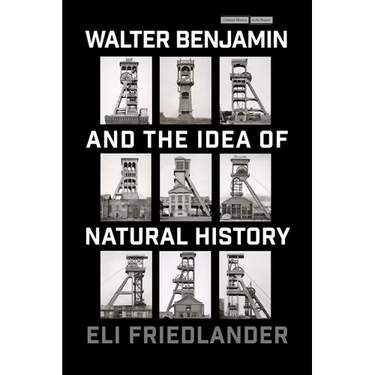 Walter Benjamin and the Idea of Natural History