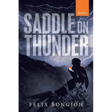 Saddle on Thunder