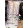 Guyanese Achievers USA & Canada: A Celebration