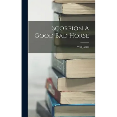 Scorpion A Good Bad Horse