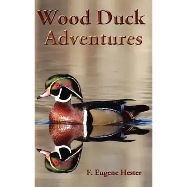 Wood Duck Adventures