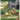 Golf the Beginning: Go Little Fang: A Fairytale for Golfers