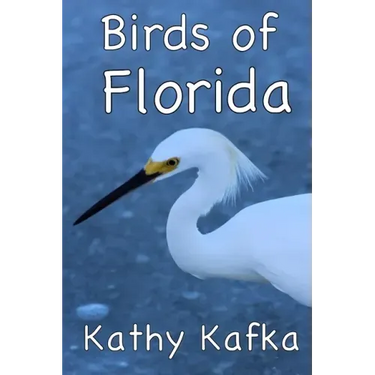 Birds of Florida