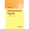Undergraduate Algebra: A Unified Approach