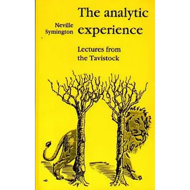 The Analytic Experience: Lectures from the Tavistock