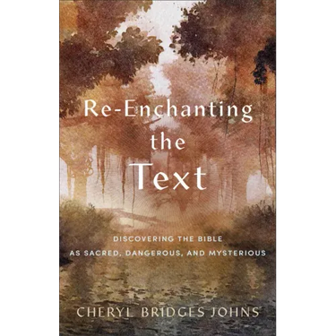 Re-Enchanting the Text: Discovering the Bible as Sacred, Dangerous, and Mysterious