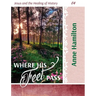Where His Feet Pass: Jesus and the Healing of History 04