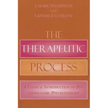 The Therapeutic Process: A Clinical Introduction to Psychodynamic Psychotherapy