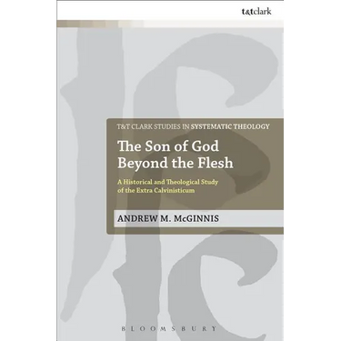 The Son of God Beyond the Flesh: A Historical and Theological Study of the Extra Calvinisticum