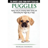 Puggles - The Owner's Guide from Puppy to Old Age - Choosing, Caring for, Grooming, Health, Training and Understanding Your Puggle Dog or Puppy