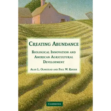 Creating Abundance