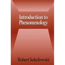 Introduction to Phenomenology
