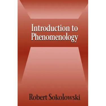 Introduction to Phenomenology