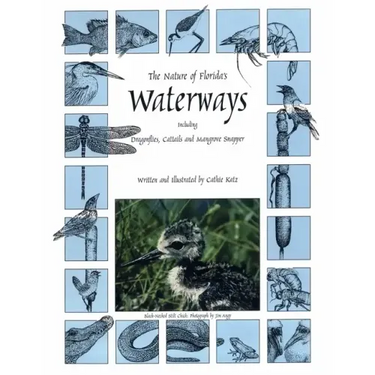 The Nature of Florida's Waterways: Including Dragonflies, Cattails, and Mangrove Snapper