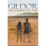Gildor: The Forbidden Land