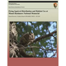 Flying Squirrel Distribution and Habitat Use at Mount Rushmore National Memorial