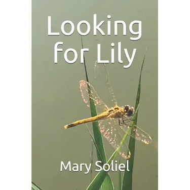 Looking for Lily