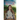 Catrina's Return