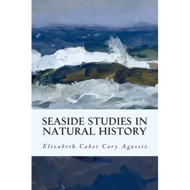 Seaside Studies in Natural History