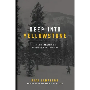 Deep into Yellowstone: A Year's Immersion in Grandeur and Controversy