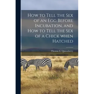 How to Tell the Sex of an Egg Before Incubation, and How to Tell the Sex of a Chick When Hatched