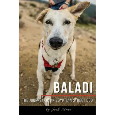 Baladi: The Journey of an Egyptian Street Dog
