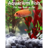 Aquarium Fish You Can Keep As Pets: A List Of Crazy, Exotic Fish To Keep As Pets