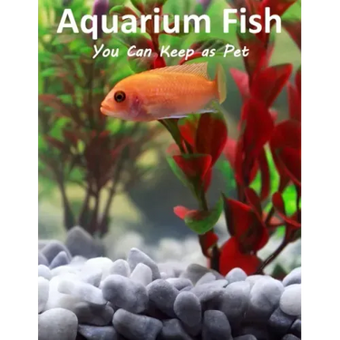 Aquarium Fish You Can Keep As Pets: A List Of Crazy, Exotic Fish To Keep As Pets