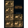 Animal Dreams