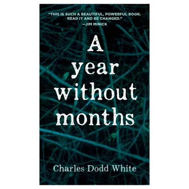 A Year Without Months