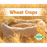 Wheat Crops