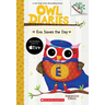 Eva Saves the Day: A Branches Book (Owl Diaries #22)