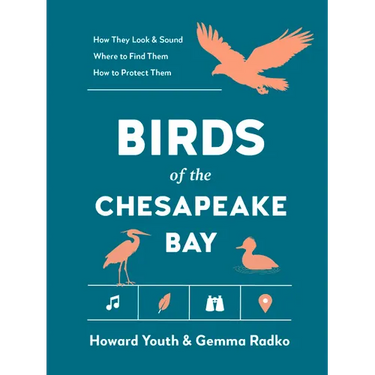 Birds of the Chesapeake Bay