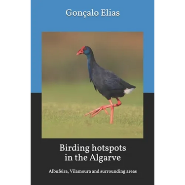 Birding hotspots in the Algarve: Albufeira, Vilamoura and surrounding areas