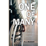 One of Many: A Posttraumatic Journey