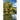 Streams that Make Glad