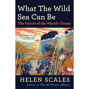 What the Wild Sea Can Be: The Future of the World's Ocean